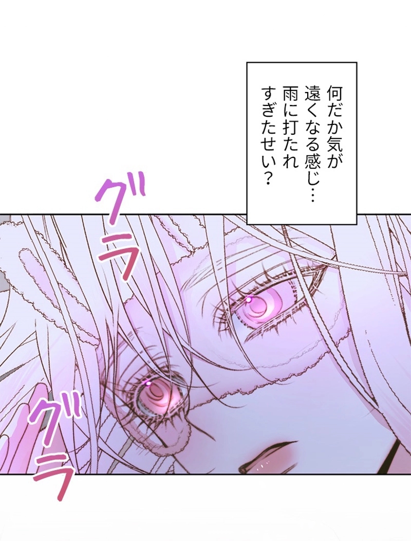P53