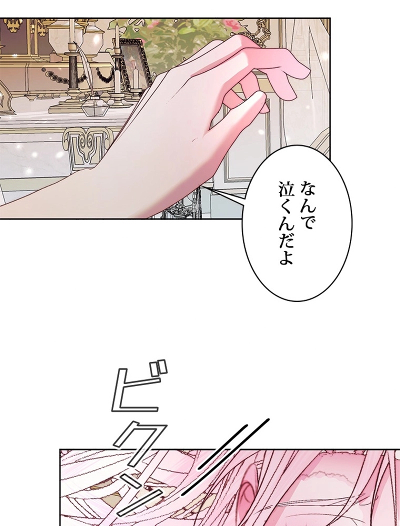 P63