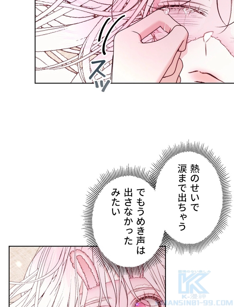 P64