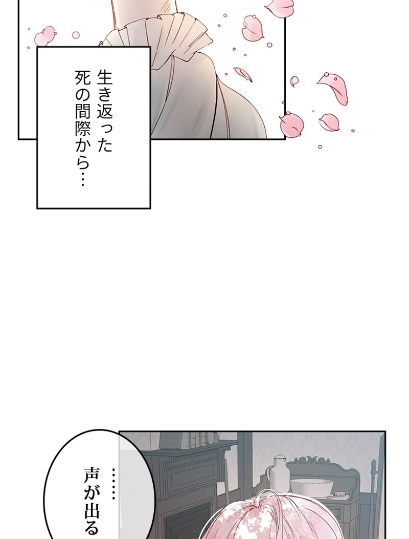 P81