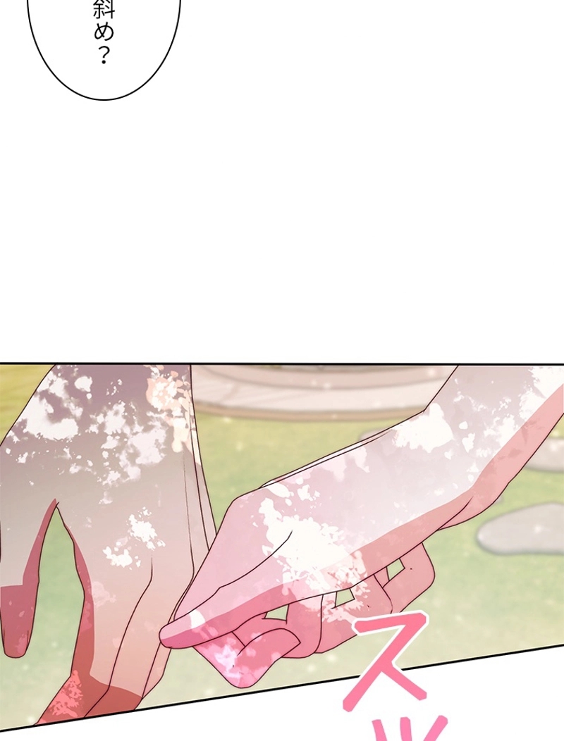 P66