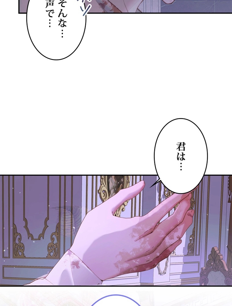 P61