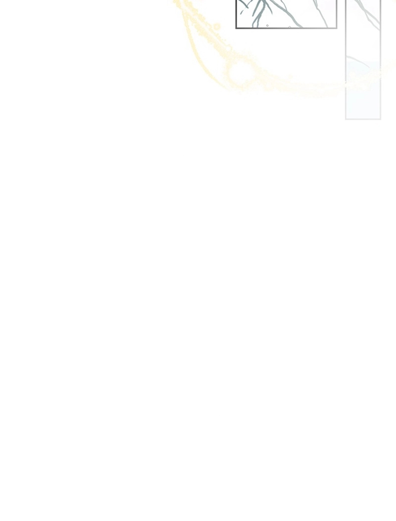 P51