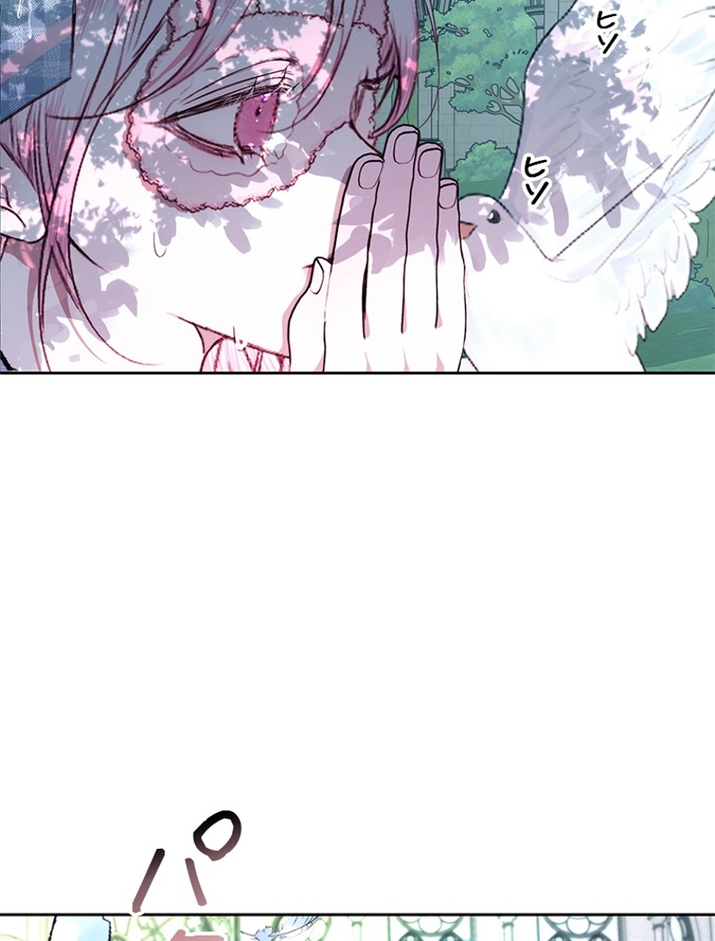 P65