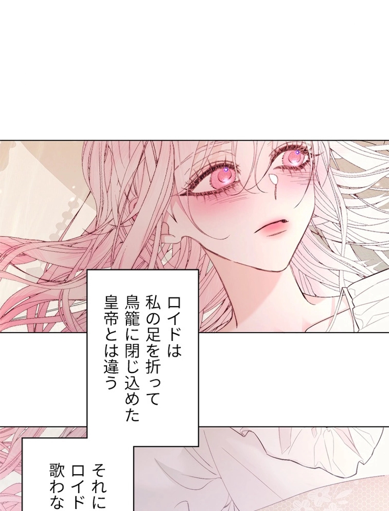 P62