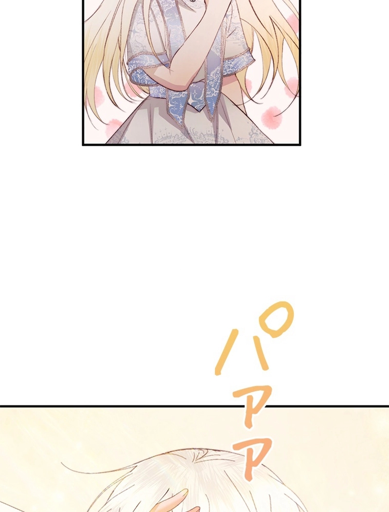 P65