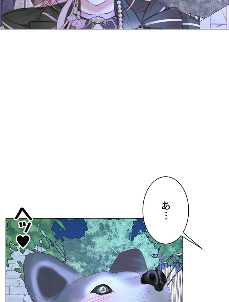 P63