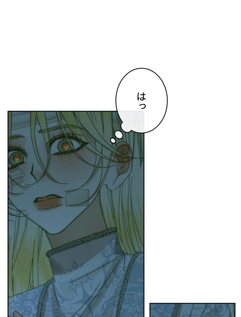 P61
