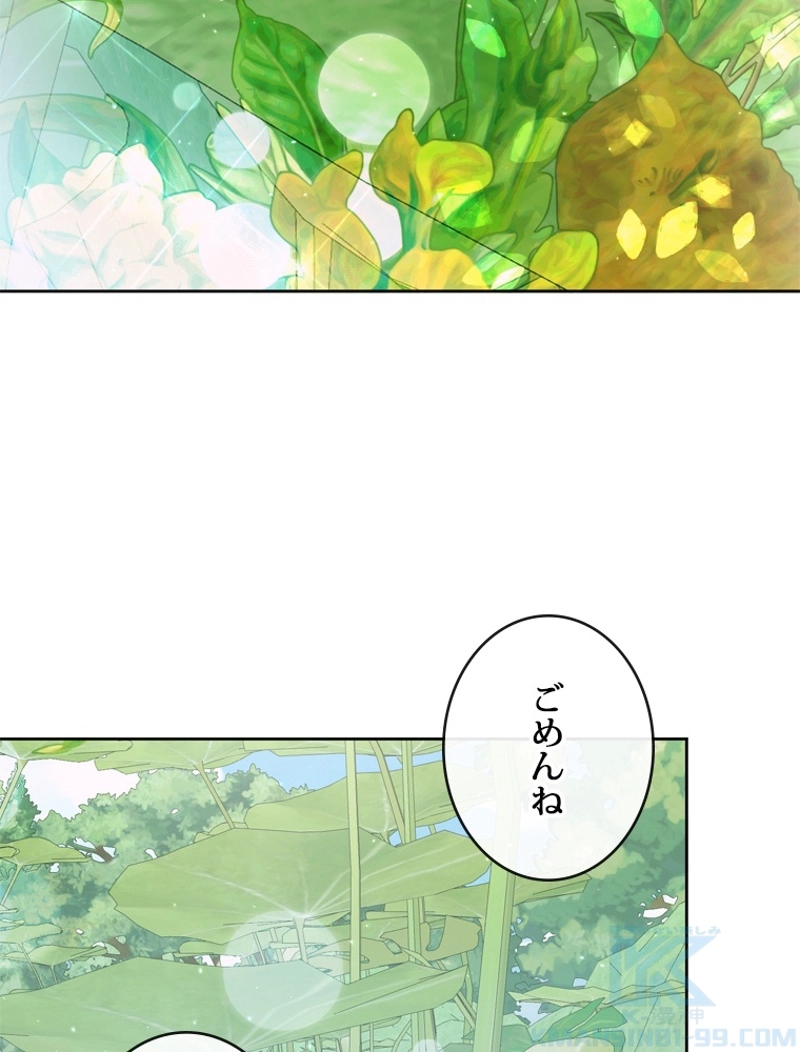 P81