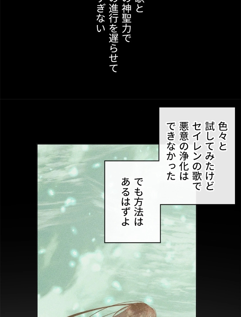 P58