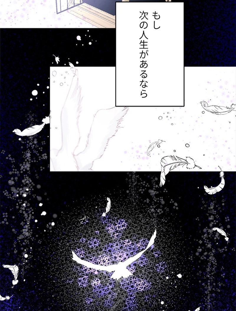 P81