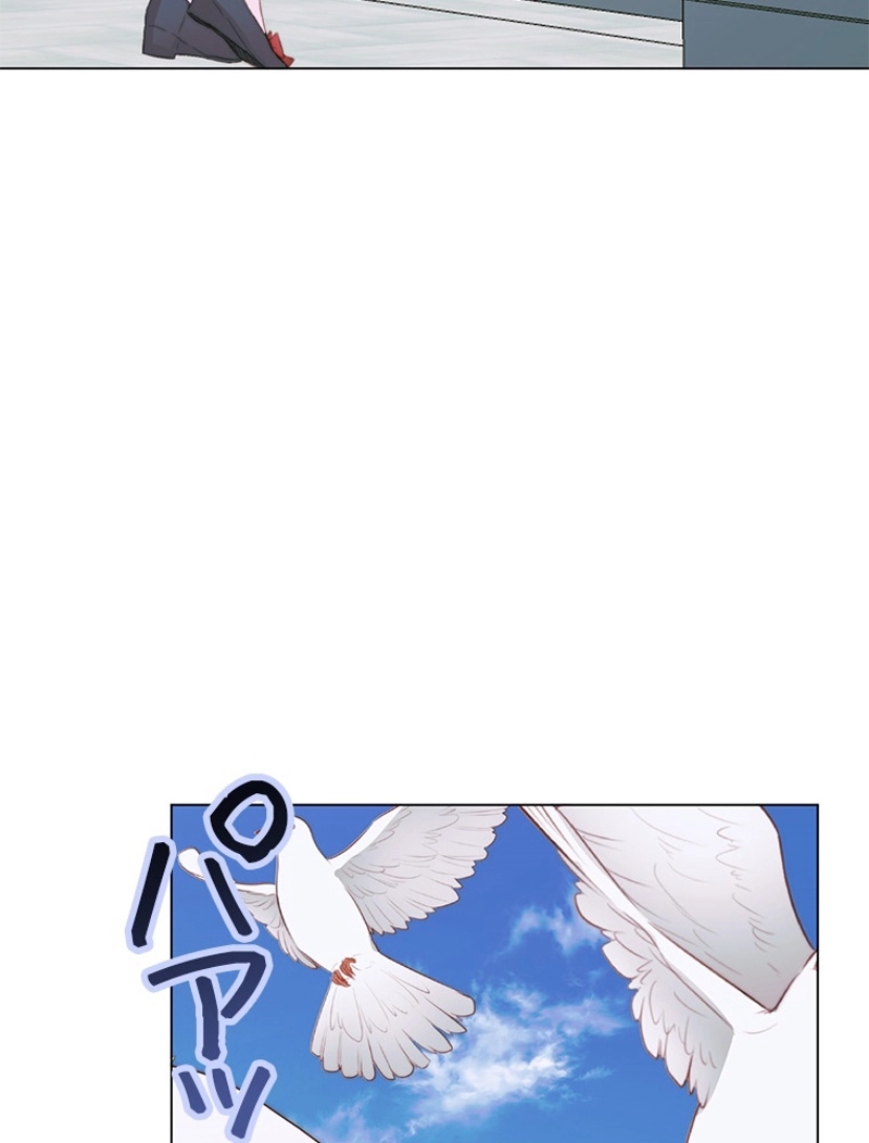 P54