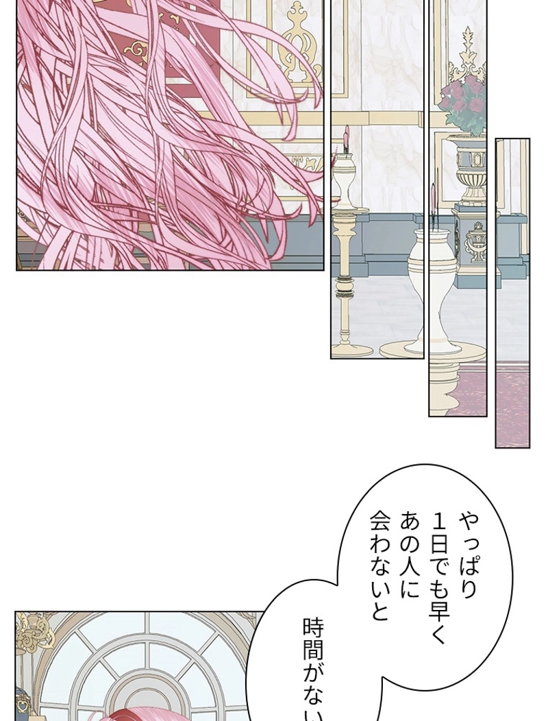 P65
