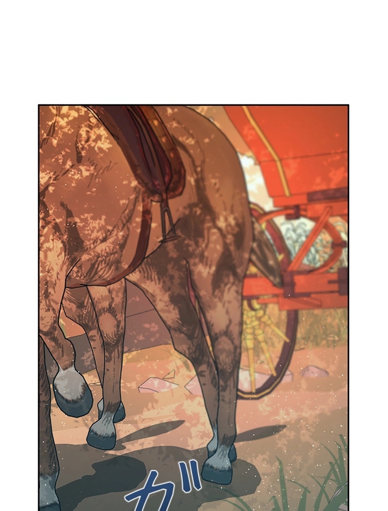 P53