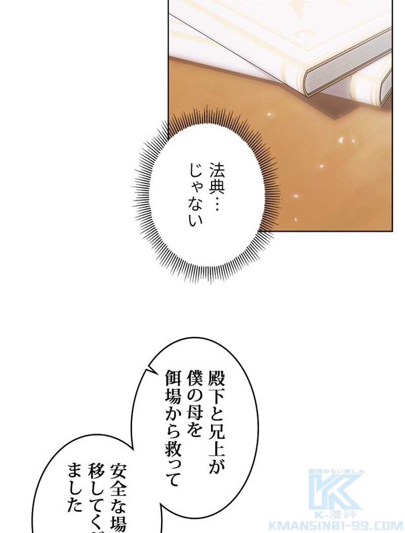 P58