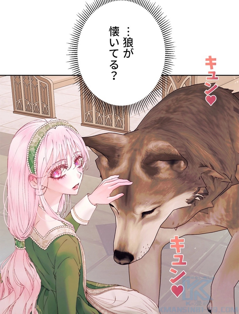 P81