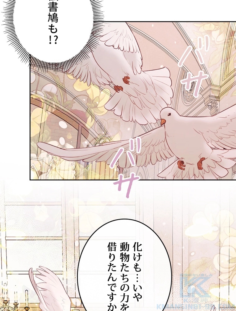 P84