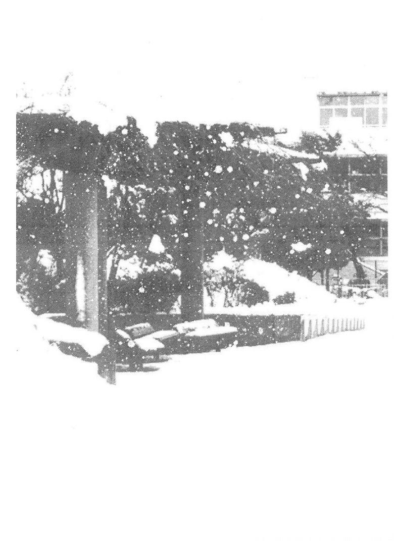P46