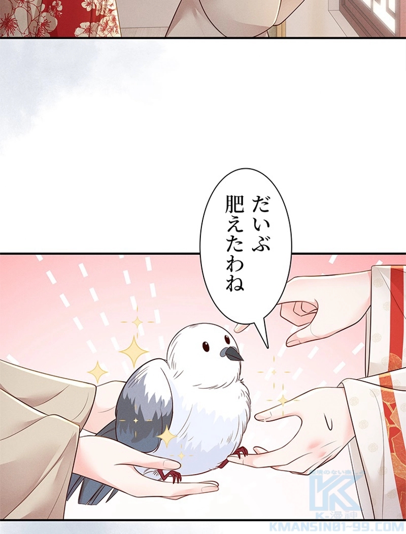 P48