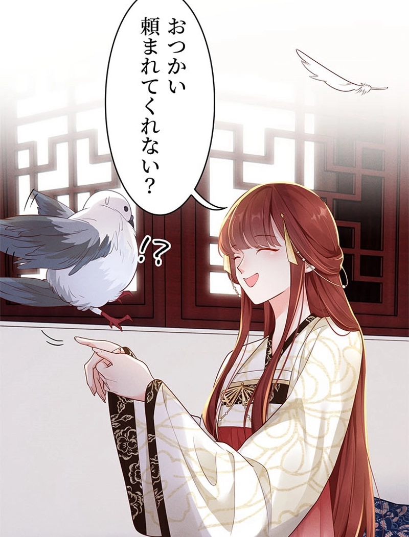 P41
