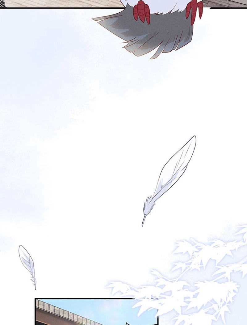 P44