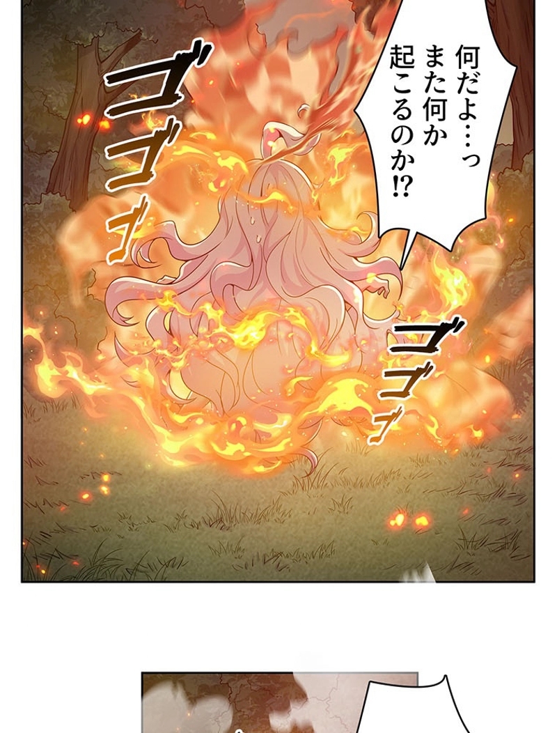 P24