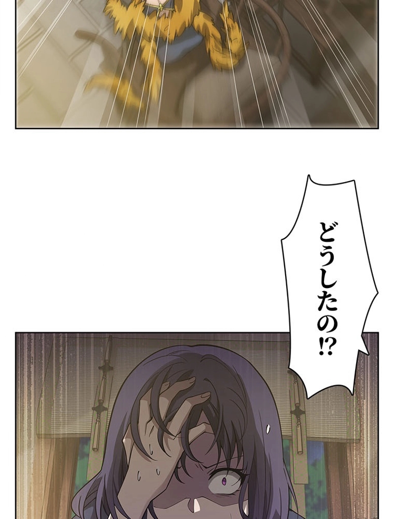 P66