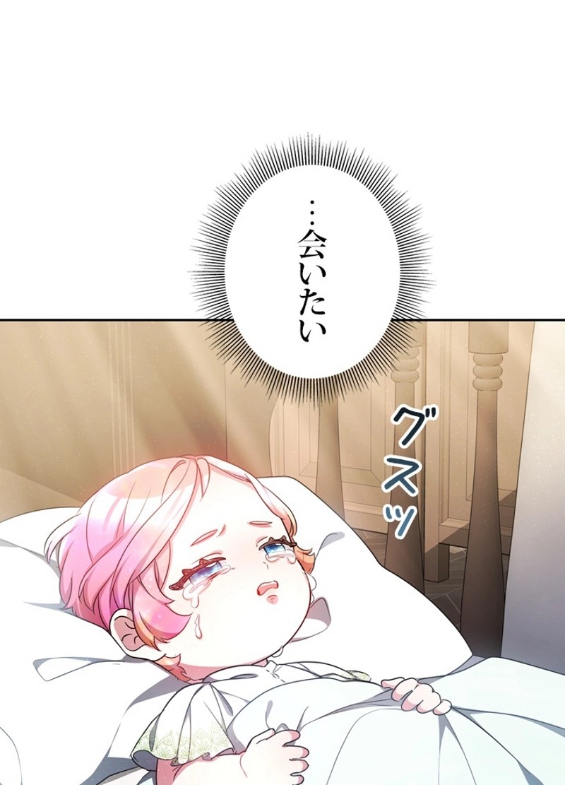 P63