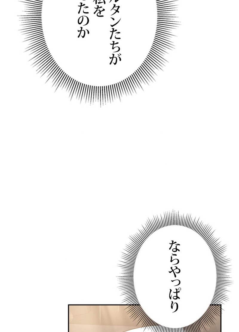 P66