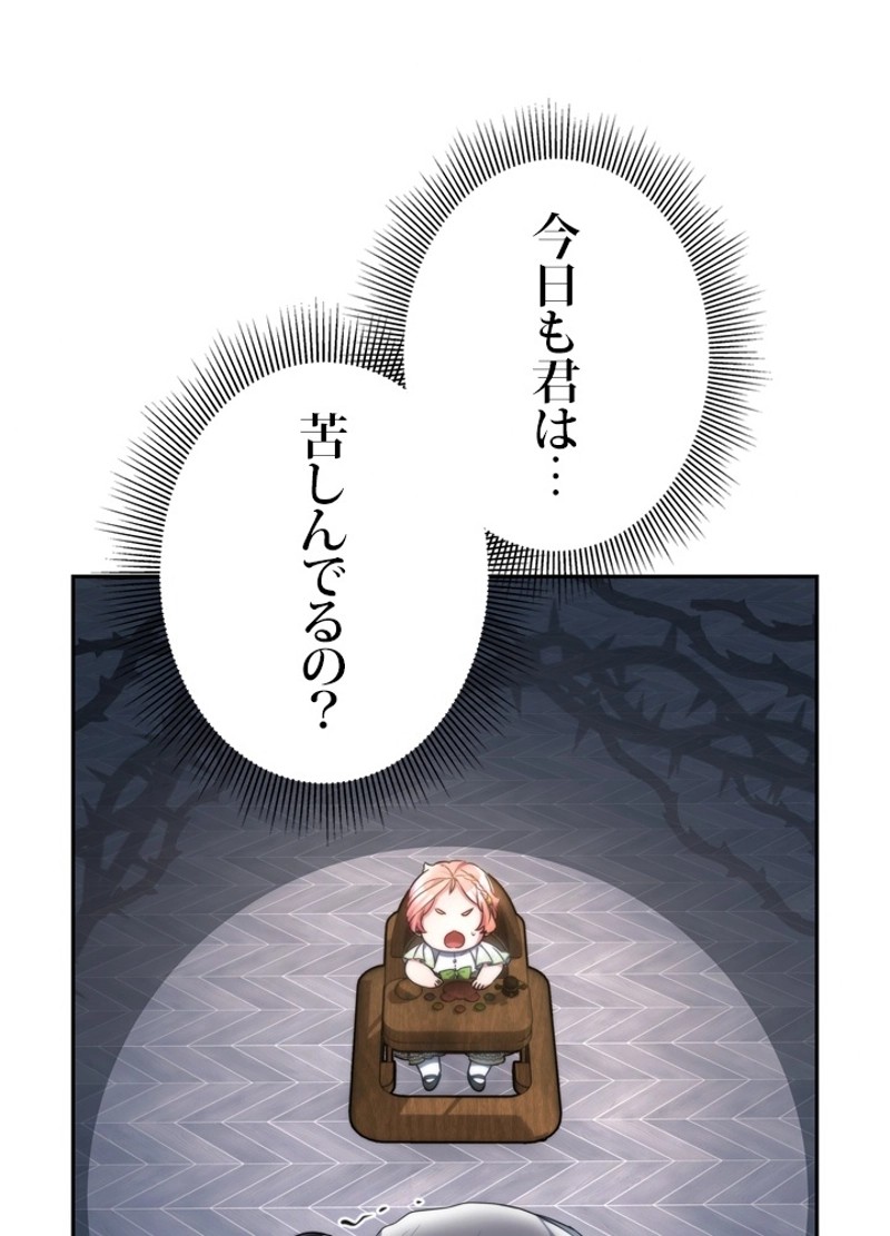 P81