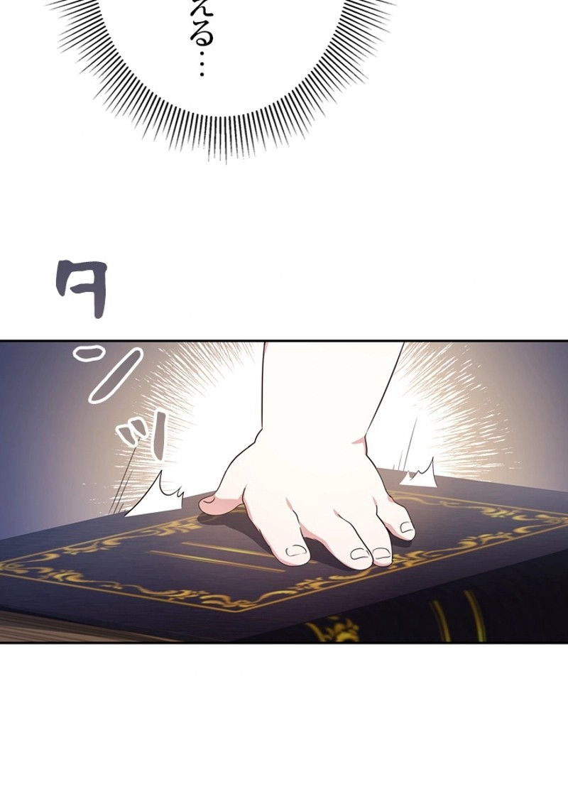 P63