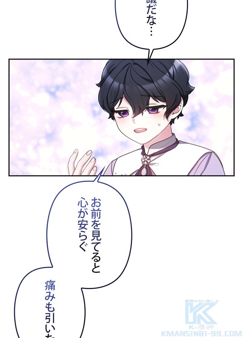 P58