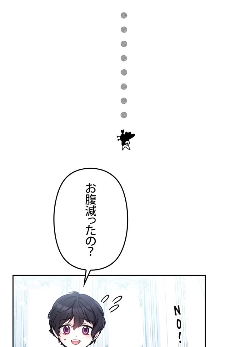 P63