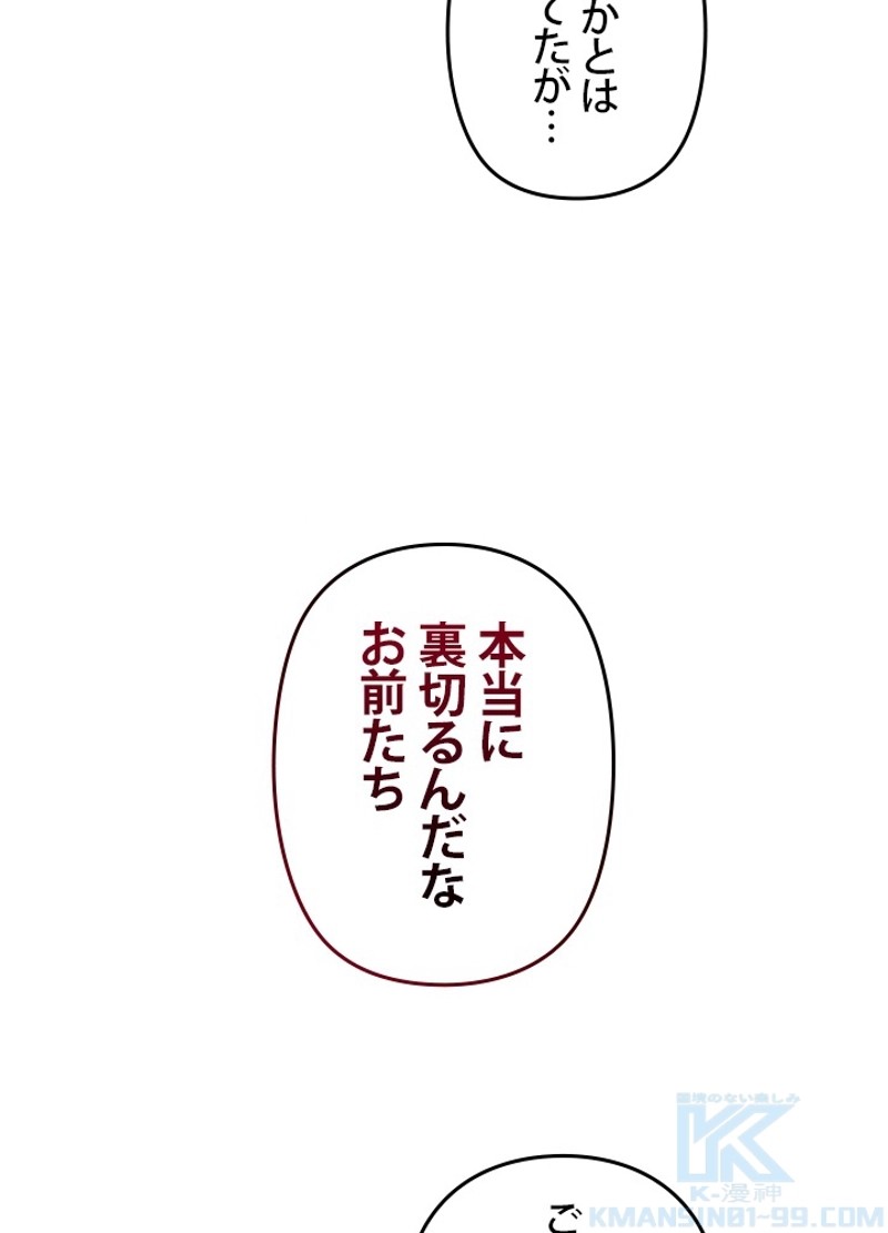 P58