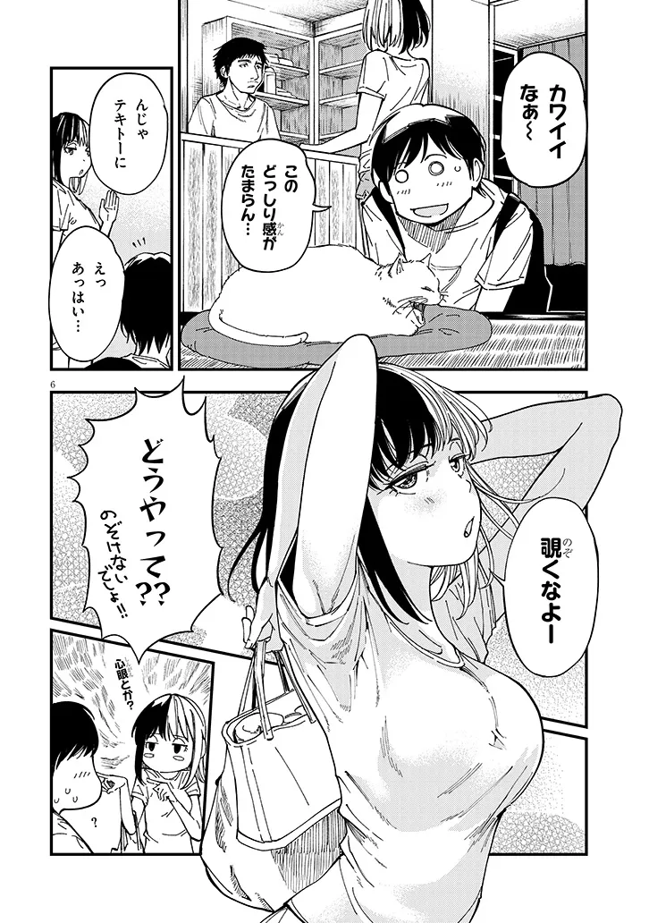 P6