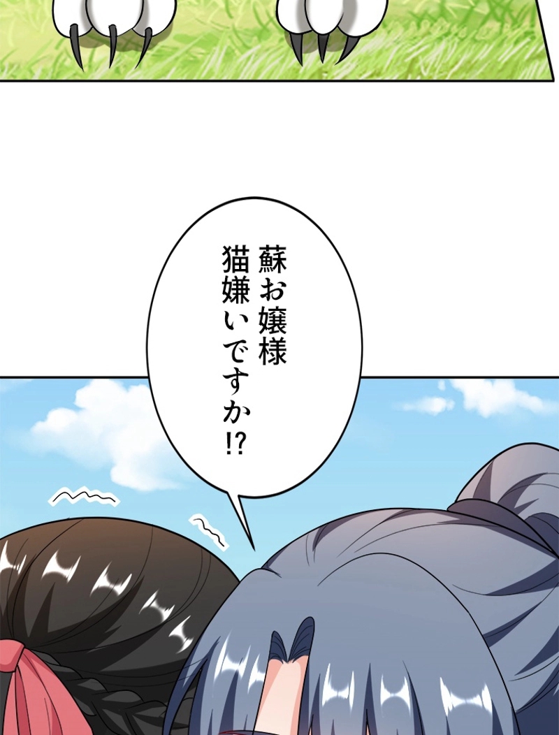 P66