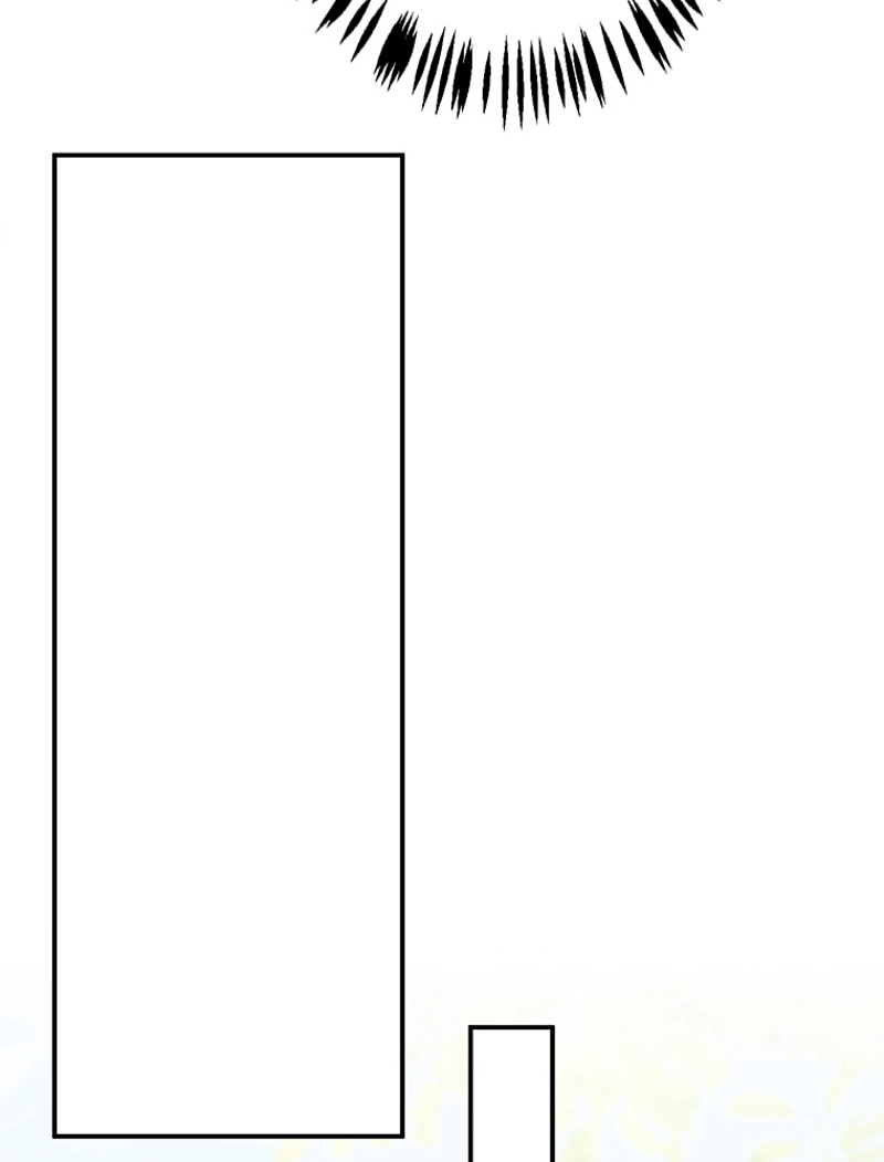 P24