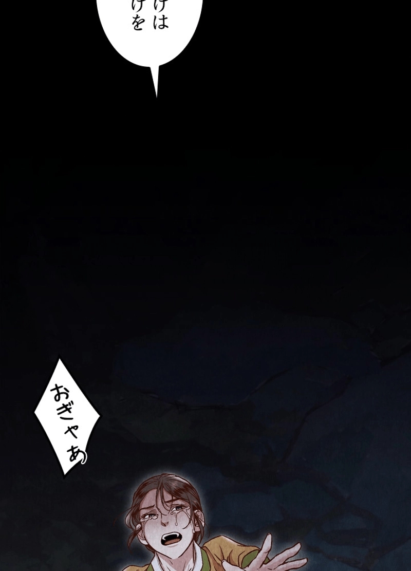 P66