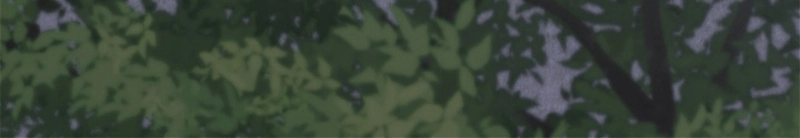 P89