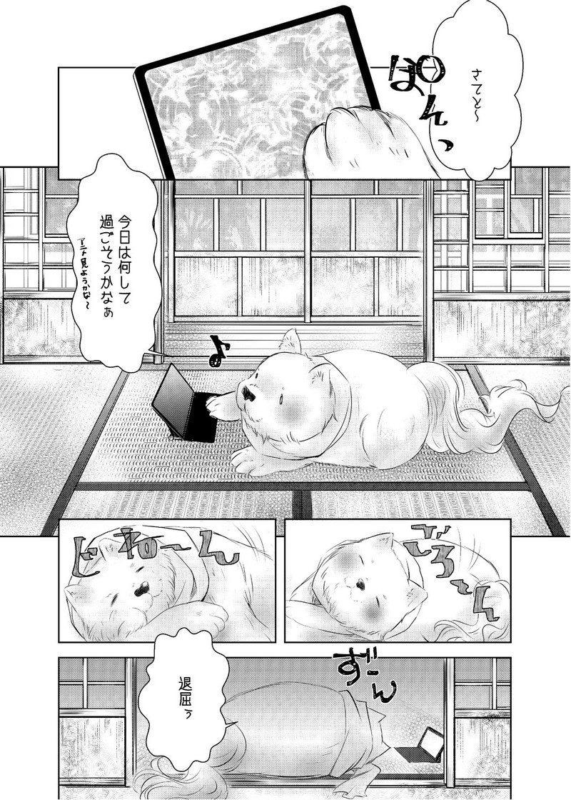 P46