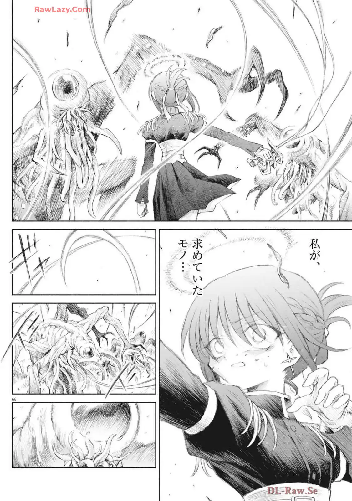 P66