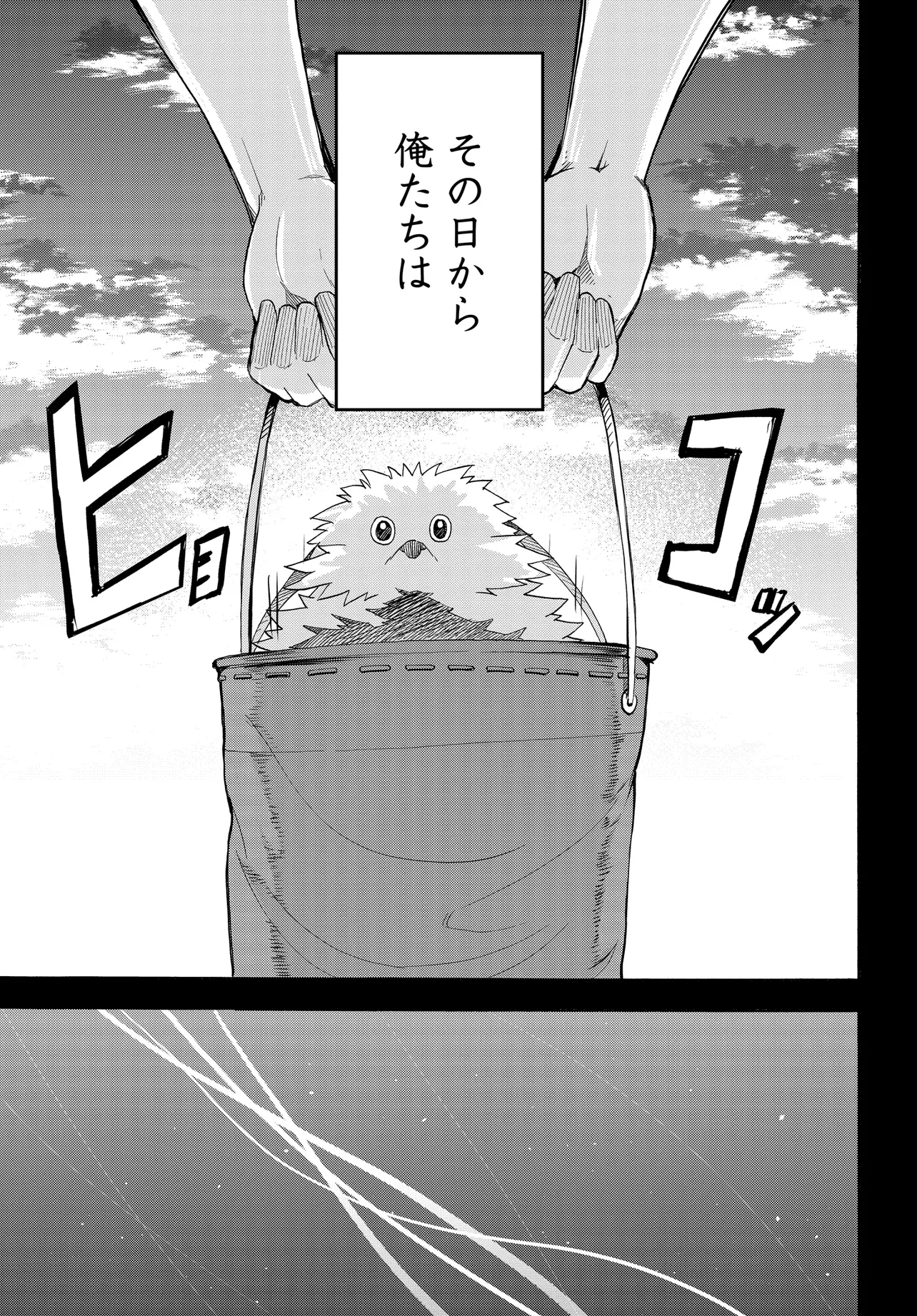 P33