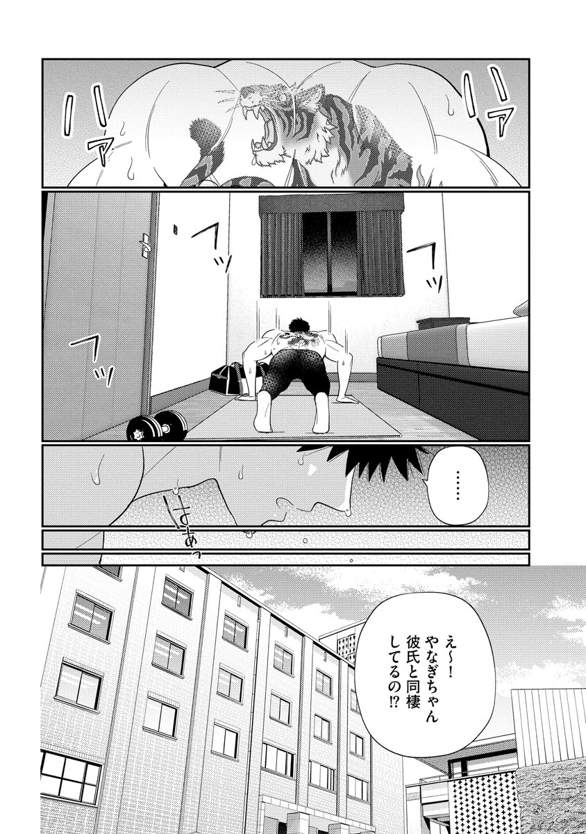 P14