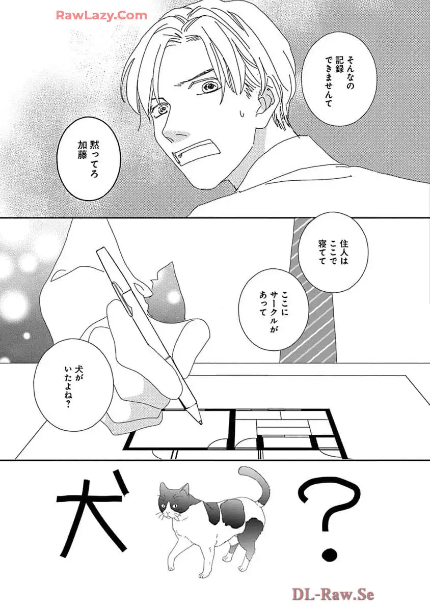 P41