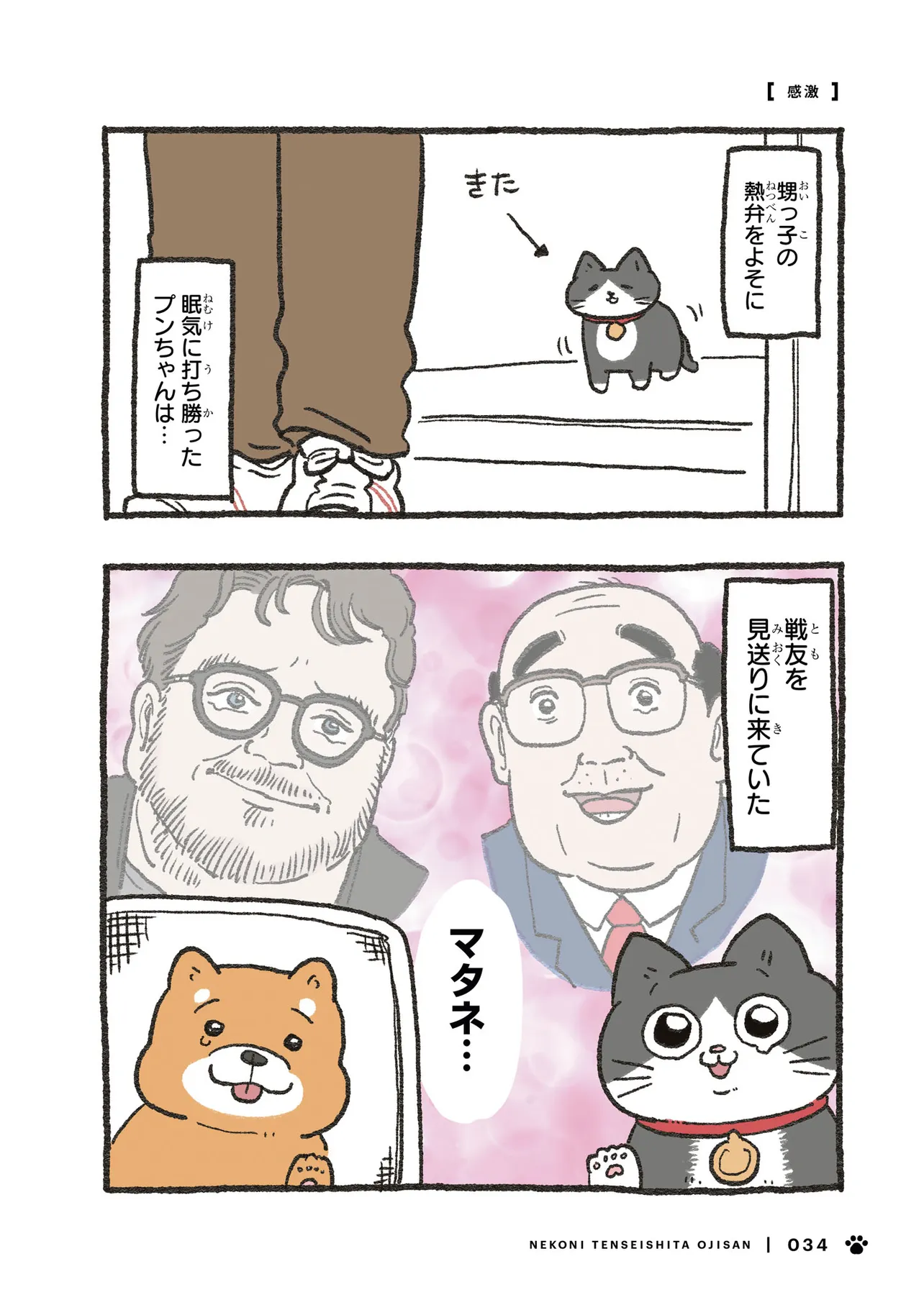 P3