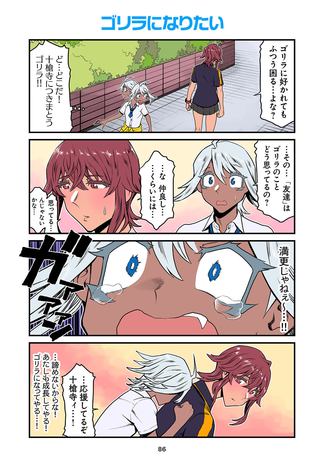 P44