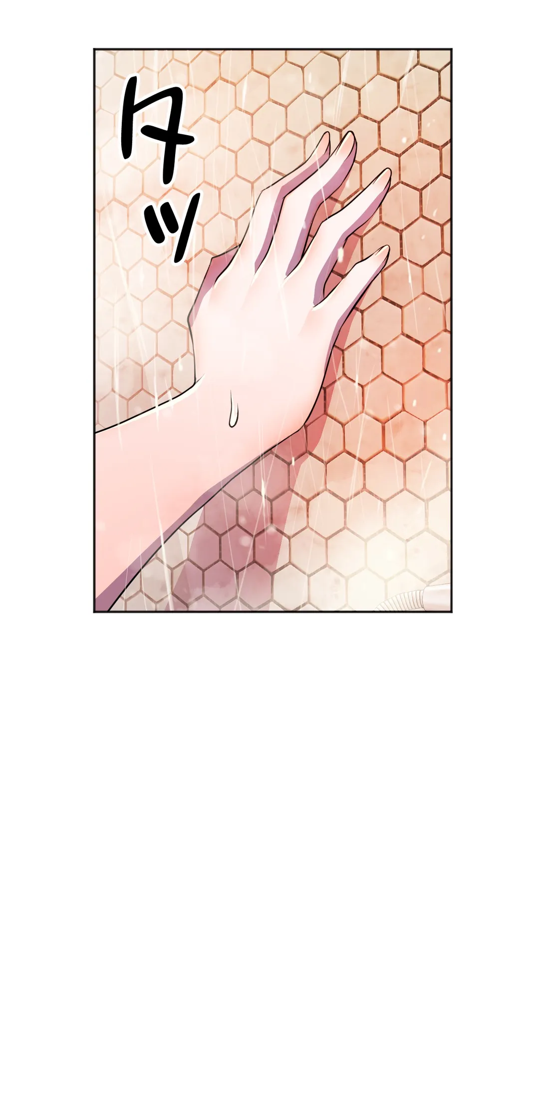 P61