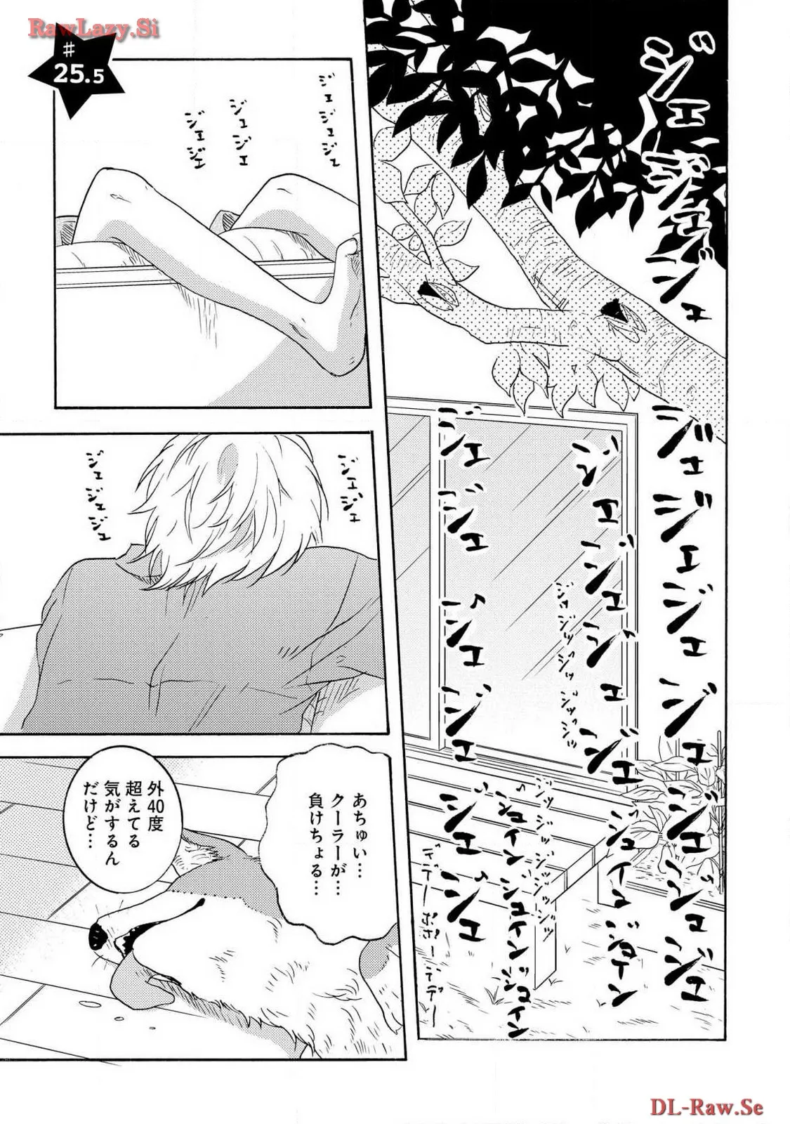 P41