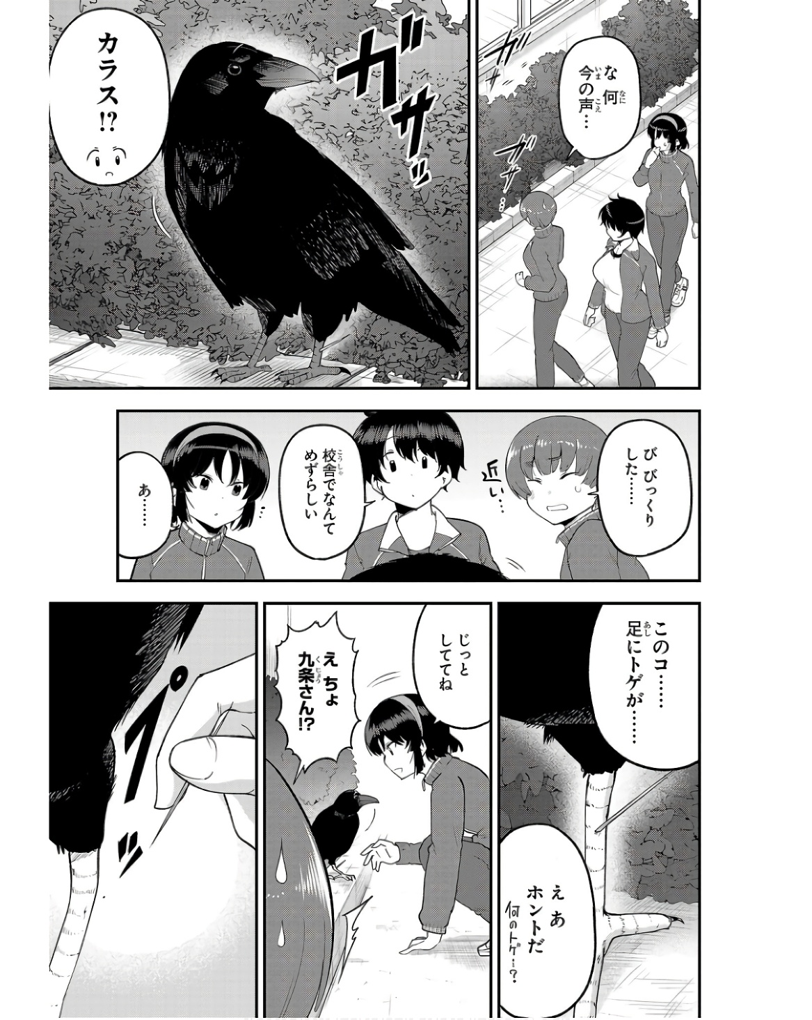 P3