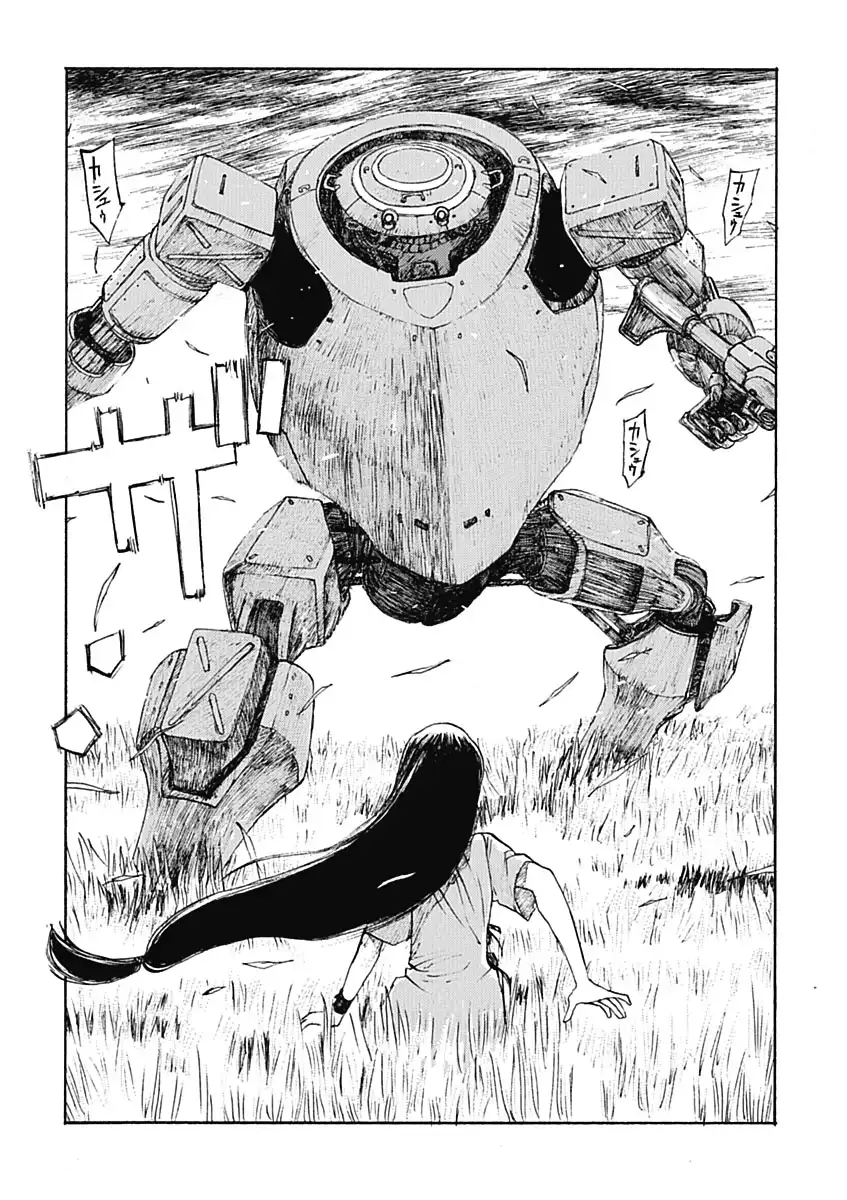 P31